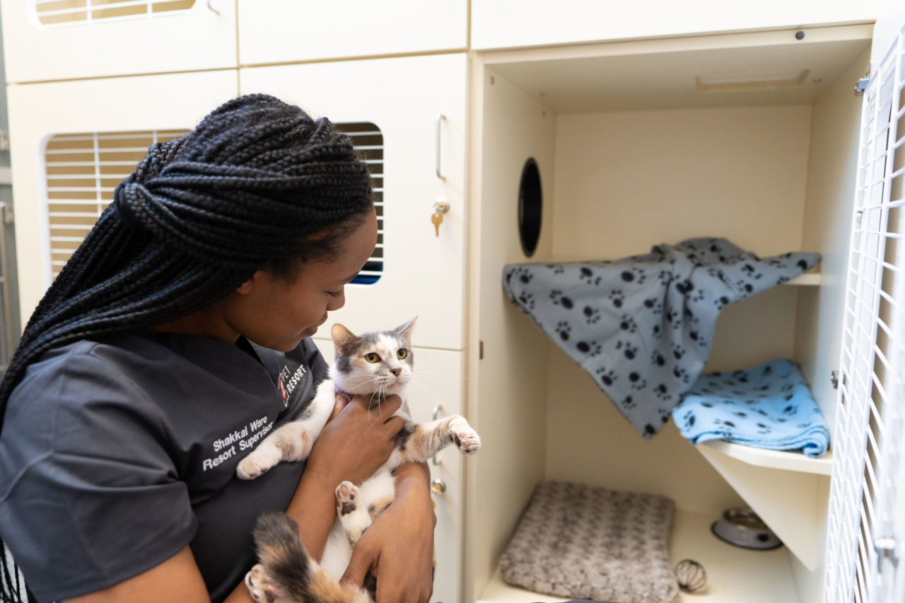 Take a Tour Firehouse Pet Resort in Round Rock, TX