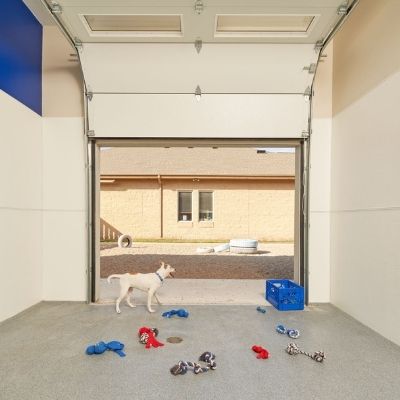 dogkennel2