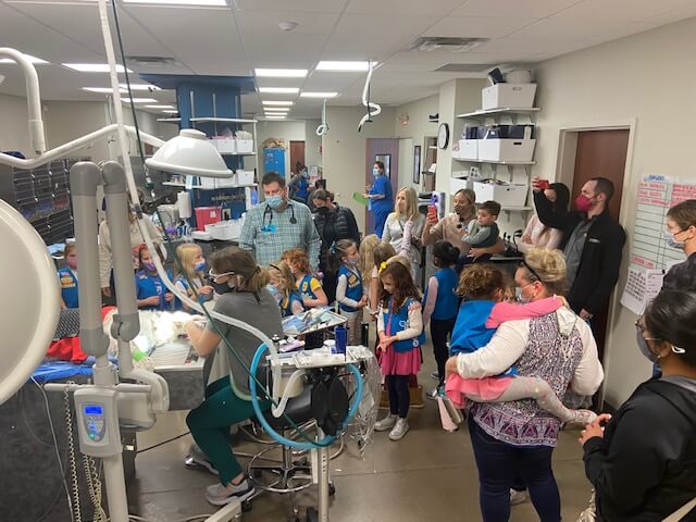 Girl Scout Visit To Firehouse Westlake - Firehouse Pet Resort