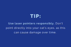 TIP: Use laser pointers responsibly. Don’t point directly into your cat’s eyes, as this can cause damage over time.