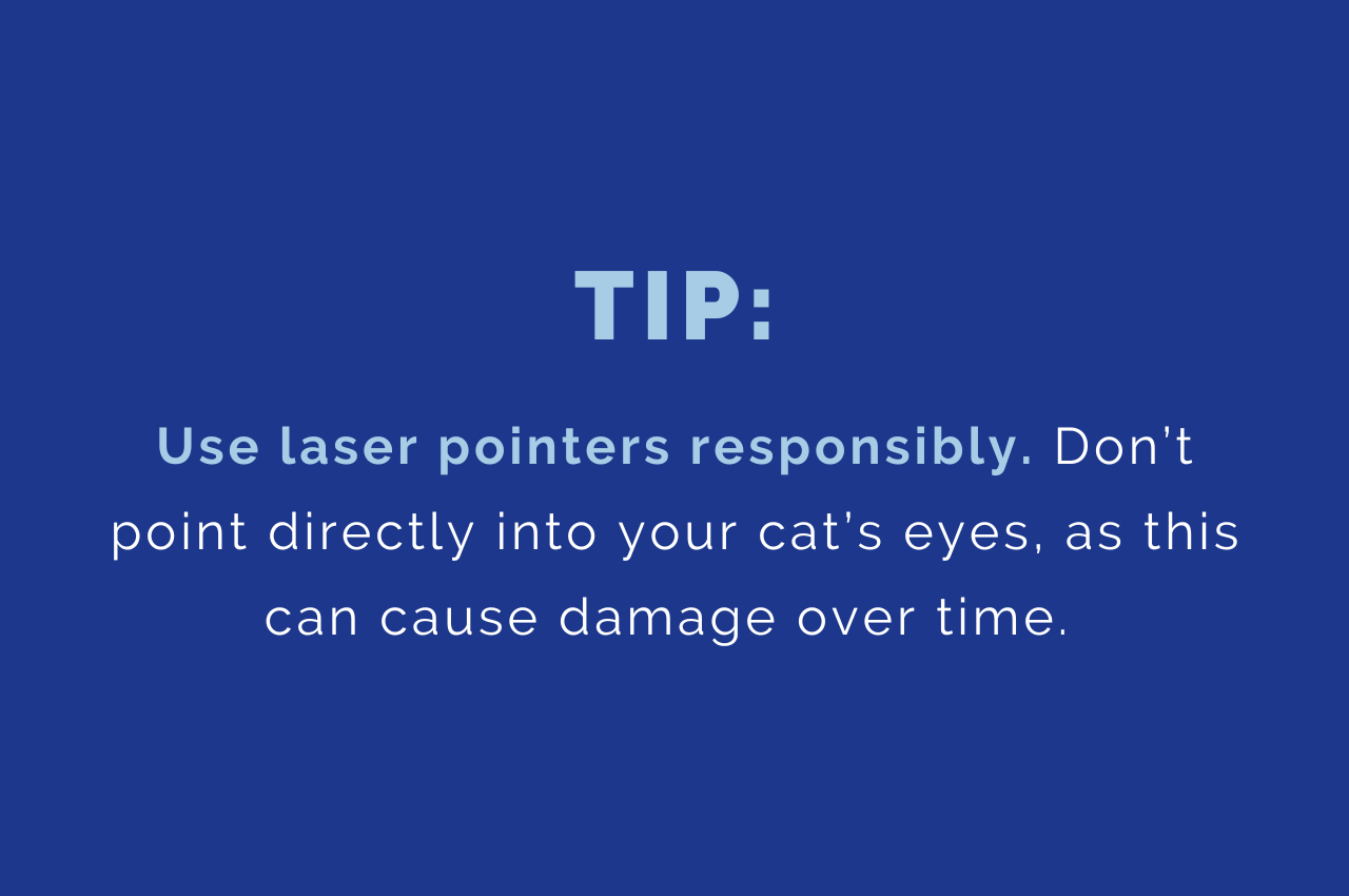 TIP: Use laser pointers responsibly. Don’t point directly into your cat’s eyes, as this can cause damage over time.