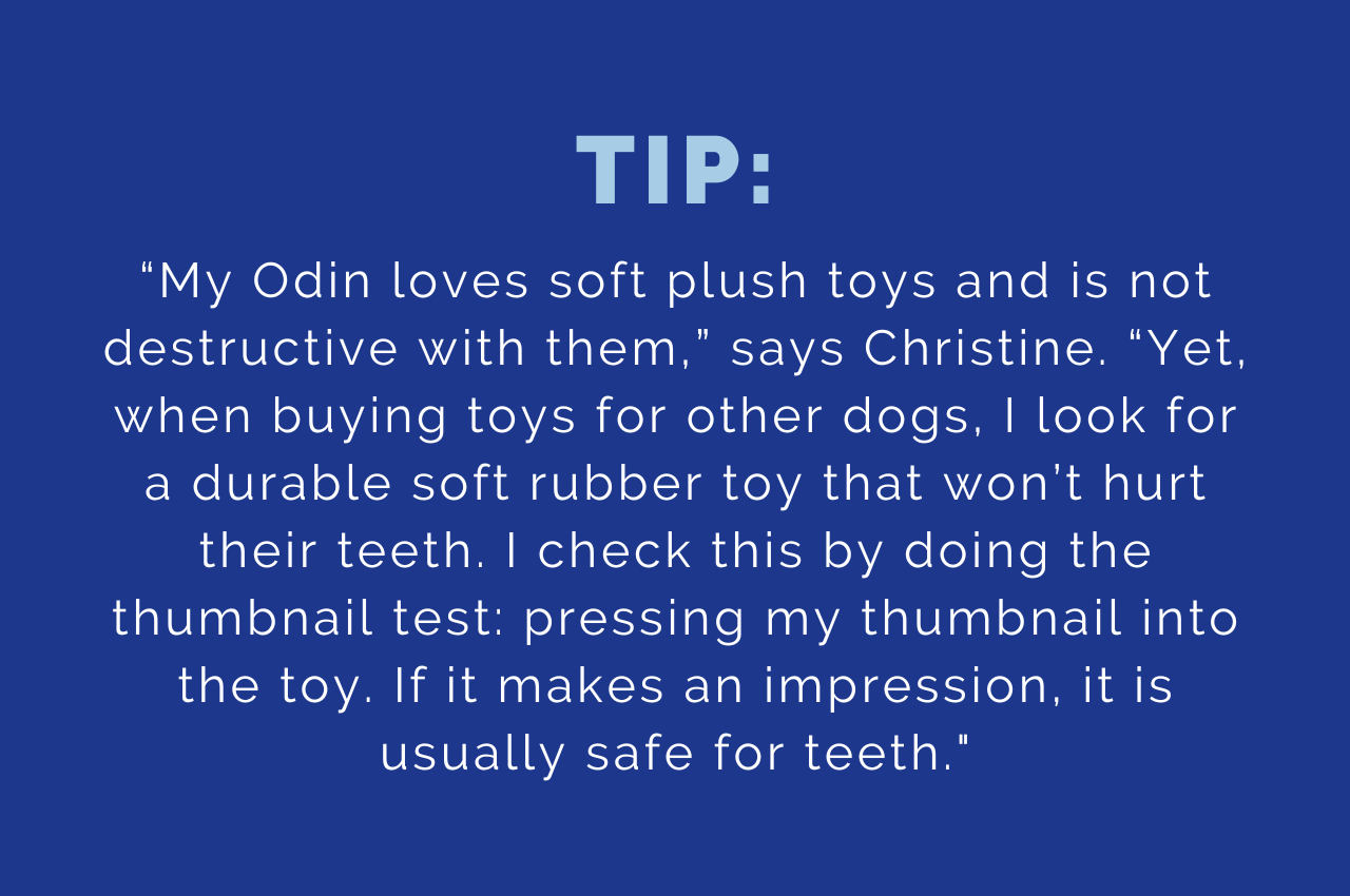 Tip: when buying toys for other dogs, I look for a durable soft rubber toy that won’t hurt their teeth.
