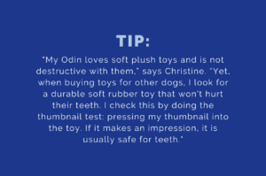 Tip: when buying toys for other dogs, I look for a durable soft rubber toy that won’t hurt their teeth.